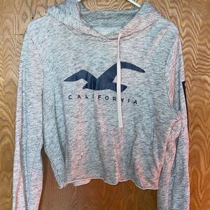 Grey Crop Hollister Hoodie